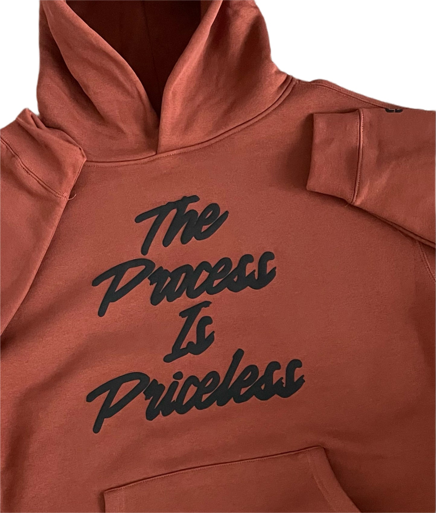 THE PROCESS IS PRICELESS HOODIE